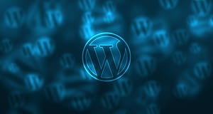 WordPress Theme Set Up - Digital Marketing, Web Development, Business Consulting